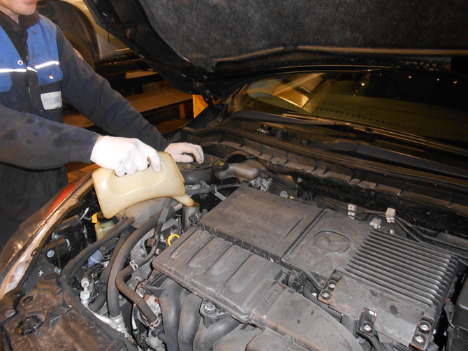 Technician working around a Mazda engine bay